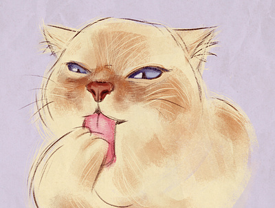 a cat illustration
