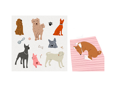 DOGS! DOGS! DOGS! animals book cover book design book illustration books dogs illustratioins pet pets