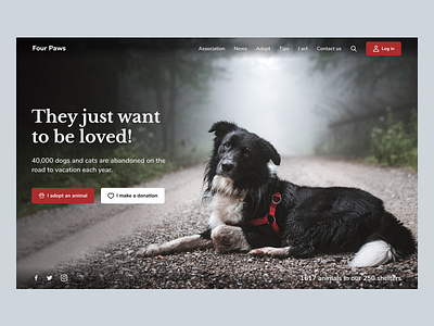 Hero - Landing Page Animal Prevention Campaign