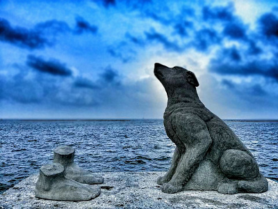 Lost Dog companion dog love loyalty ocean photography photoshop