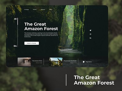 Amazon FRST design ui ux web