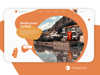 Orange tour design turkey ui ux web