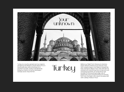 Turkey design mystic turkey ui ux web