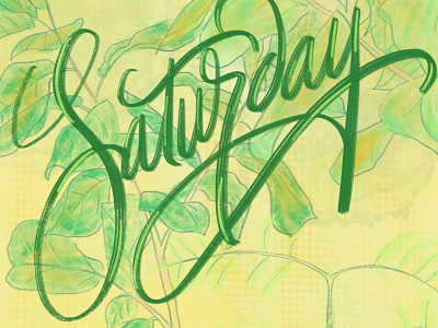Handwriting in a Saturday afternoon behance design graphic graphic design illustration lettering typography vietnam