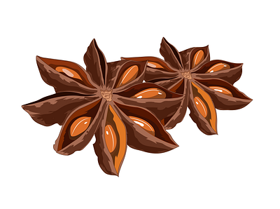 Star anise art flower fruit krotalon natural seed sheld star