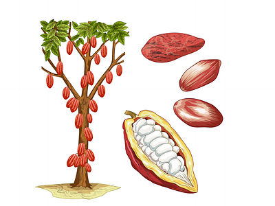 Árbol de cacao