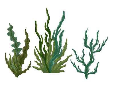 Green algae algae green green algae green algae illustrations marine algae ocean