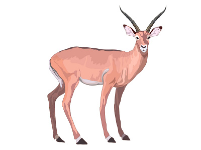 Antelope animal design didactic didactic illustration didactic material digital ink fauna flat horns illustration jungle krotalon mamal natural savage