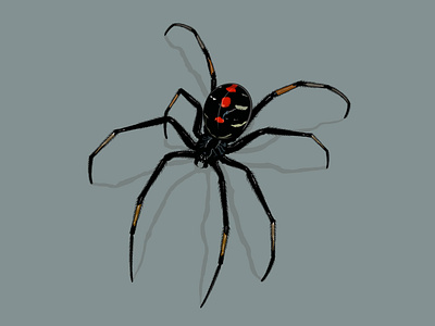 Black Widow