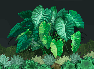 Xanthosoma Robustum digital ink enviromental enviromental design environmental green illustrator krotalon natural nature plant plant illustration poison poisonous
