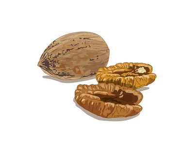 Walnuts break fruit fruits hardness natural nuts shell