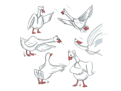 duck sketch poses