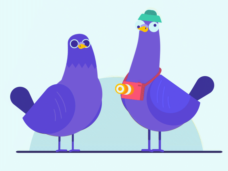 purple pigeon animation arab character flat illustration illustrator puppet