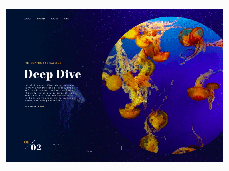 Daily UI | Video animation ui ux app flinto interactive jellyfish landing page mobile motion graphic player underwater video web design