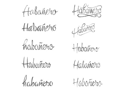 Habanero - Logo Sketches 2 - Script