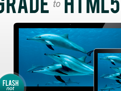 Upgrade To HTML5 blue dolphins green html5