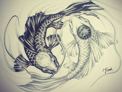 Balance balance black colours copic drawing fish illustration koi white yinyang