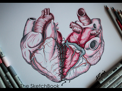 heart anatomy commission copicmarker drawing heart illustration love project