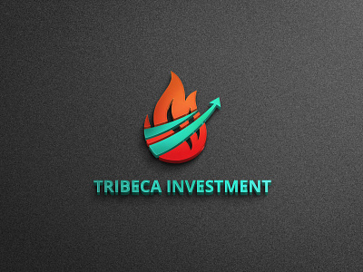 INVESTMENT COMPANY investment