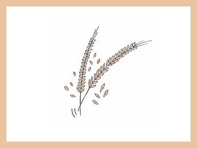Seeds brush farm folder handdrawn handmade illustration kids seeds watercolor wheats