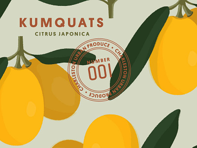 CHS Street Fruit charleston chs citrus color fruit illustration typography