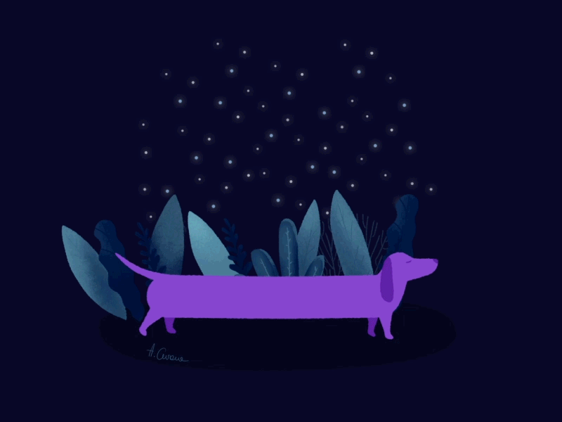 Midnight Stroll after effects aftereffects animals animated animation animation after effects design illustration motion art motion design motion graph motion graphic motion graphics purple