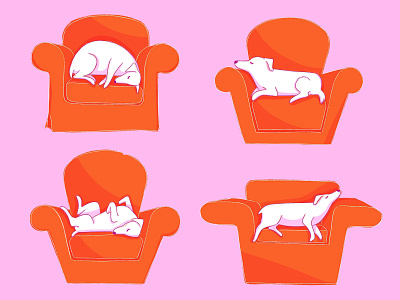 Nap time digital art digital illustration dog flat illustration illustration illustration for motion orange pink procreate