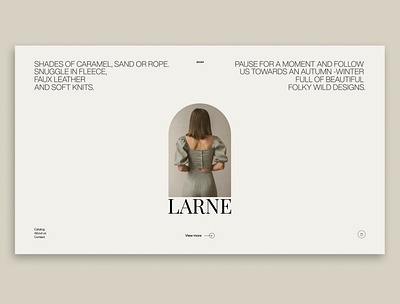 Larne / Store/ UI / Redesign concept desctop larne online shop online store redesign ui web webdesig
