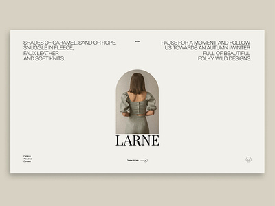 Larne / Store/ UI / Redesign