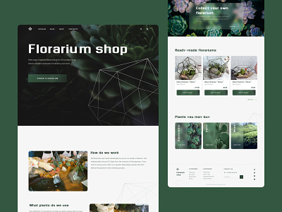 Florarium shop | Minimorphism design minimorphism ui web web design