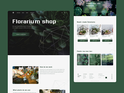 Florarium shop | Minimorphism