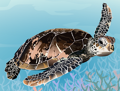 Sea turtle animals design digital drawing graphic design illustration inkscape vector design