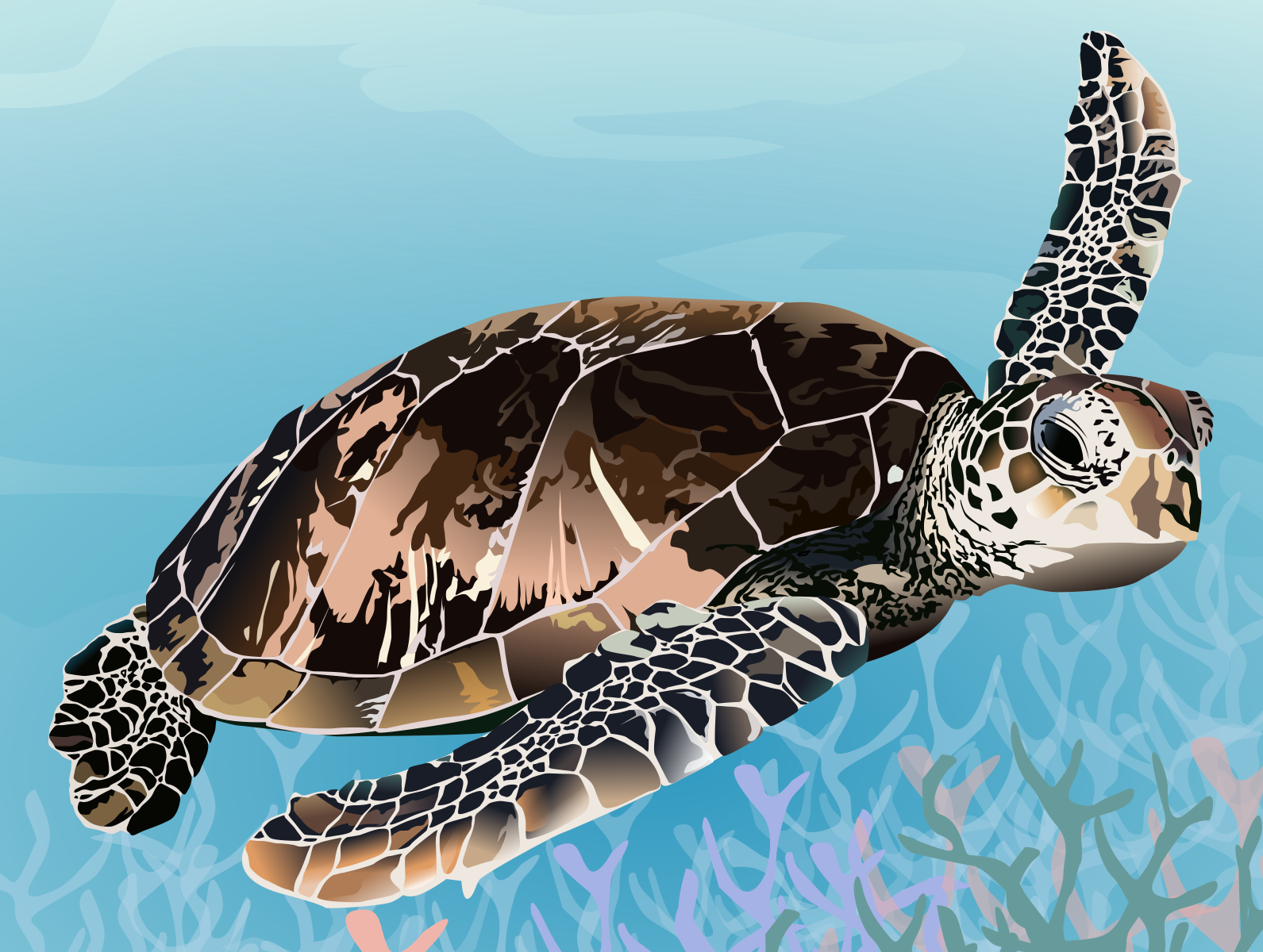 Sea turtle by Getter Pih on Dribbble