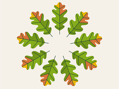it’s oak! autumn colour fall illustration minimal oak simple tree vector wacom