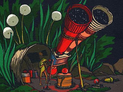 Swamp Astronomer