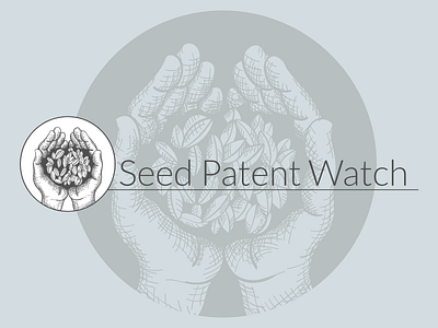 Seed Patent Watch art branding design graphic design icon illustration illustrator logo vector