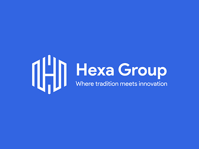 Hexa Group app brand identity brand style branding colors icon illustration logo mark vector