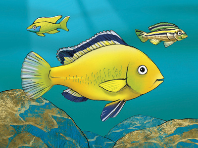 Lake Malawi book fish illustration malawi pencil photoshop
