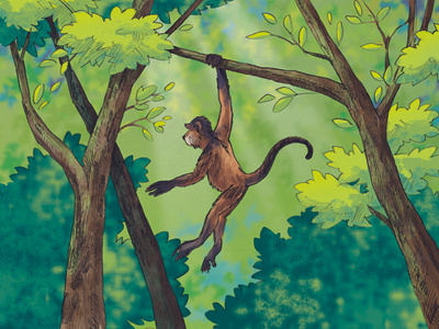 Malawi Monkey final digital illustration malawi monkey pencil photoshop traditional illustration