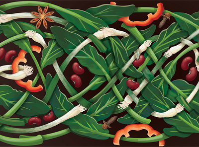 Contest entry choy sum clove food illustration pepper psd red bean scallion star anise