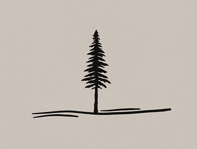Solo Pine Tree Illustration hand drawn illustration illustration art illustrator line lineart minimal minimal illustration minimalism minimalistic pine pine tree pine trees simple simple illustration tree illustration