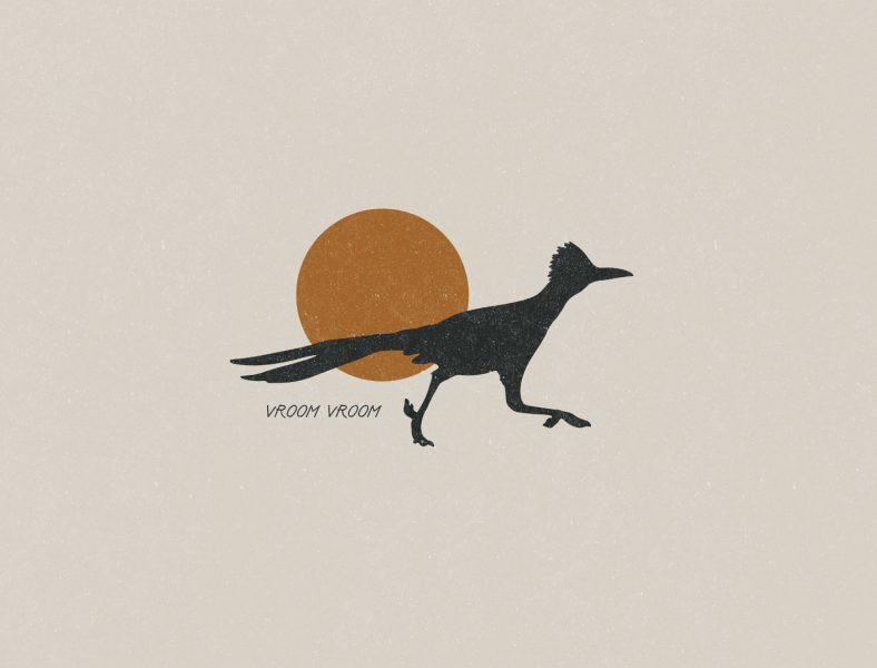 Road Runner Vector - SuperAwesomeVectors