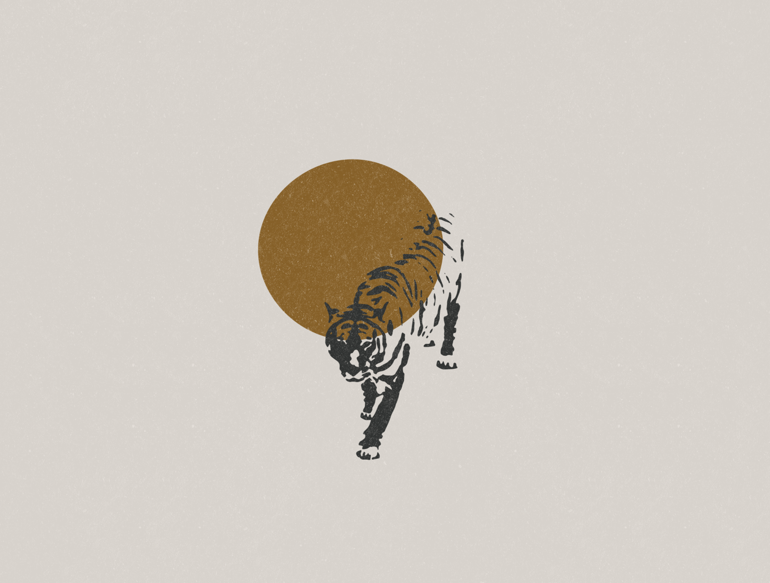 Tiger and Sun by Kinsey H. Designs on Dribbble