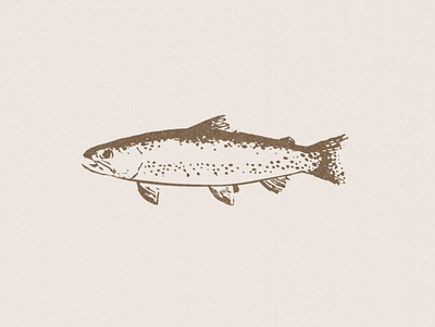 Trout Logo and Illustration design illustration illustration art illustrator logo minimal minimalism minimalistic simple