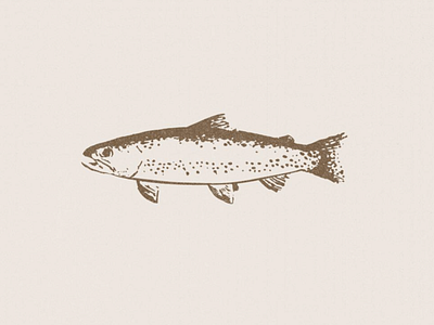 Trout Logo and Illustration