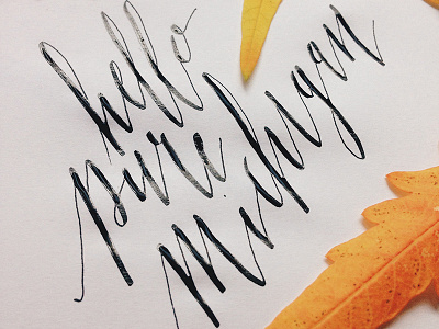 Pure Michigan autumn calligraphy fall michigan moderncalligraphy puremichigan