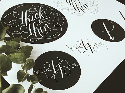 Thick and Thin Logo branding calligraphy logo logodesign moderncalligraphy thickandthin