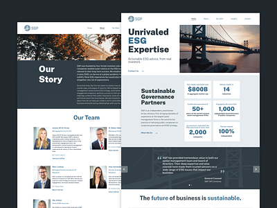 Sustainable Governance Partners branding design responsive design ui design web design website wordpress