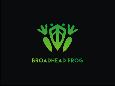 Broadhead Frog branding broadhead design doublemeaning dualmeaning frog illustration logo