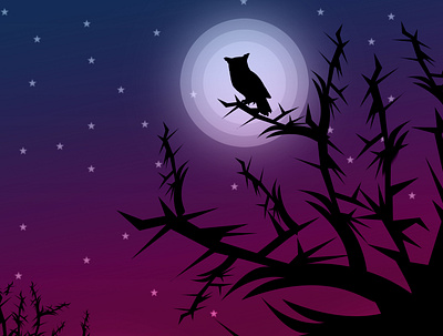 moon night illustration illustration vector